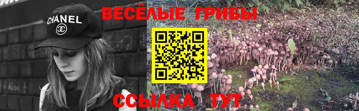 Псилоцибиновые грибы мухоморы Урюпинск