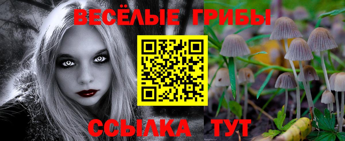 Псилоцибиновые грибы Magic Shrooms  где можно купить наркотик  Урюпинск  Галлюциногенные грибы мицелий  Вход с VPN 